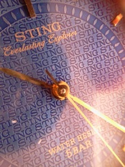 Наручные часы «STING Everlasting Explorer»