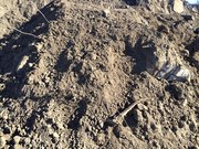 Грунт котлованный с доставкой от 1 до 30 тонн,  без посредников