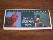 Набор обитатели японского моря