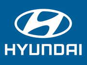 Втулки на спецтехнику Hyundai (оригинал)