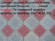 Клевер краковский