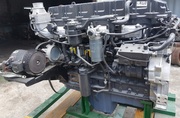 Контрактный двигатель для грузовика Hyundai D6CG 