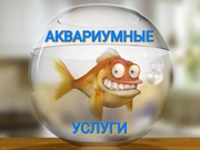 Чистка аквариумов Пенза. Обслуживание аквариумов Пенза.