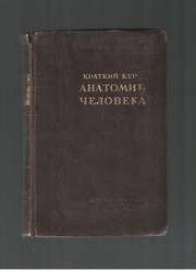 Краткий курс анатомии человека