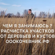 Услуги/Аренда Мульчера. Комплексная расчистка с/х полей. Валка леса. М